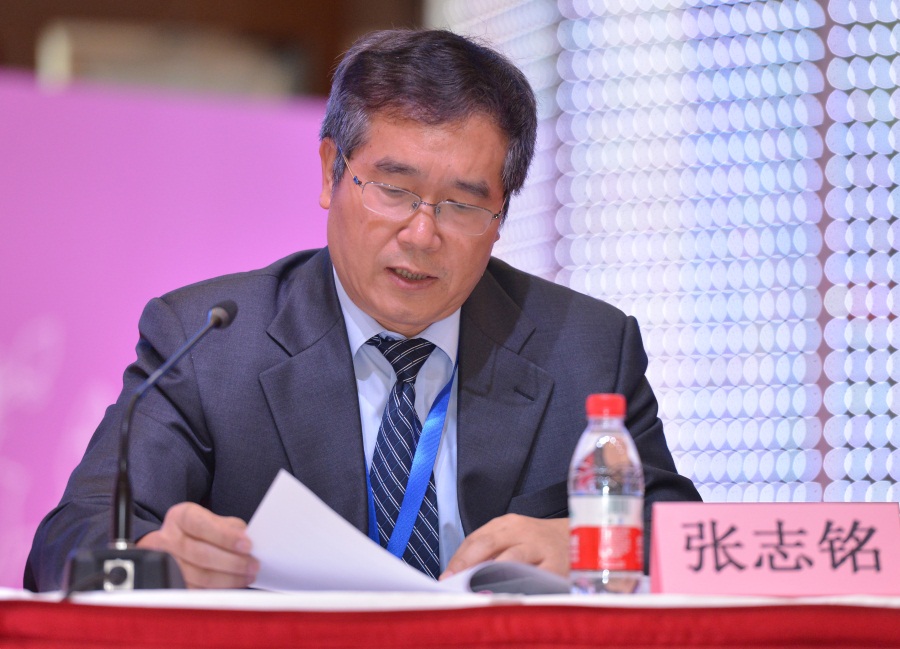 卧龙地产独立董事 张志铭先生对本次重组预案发表独立